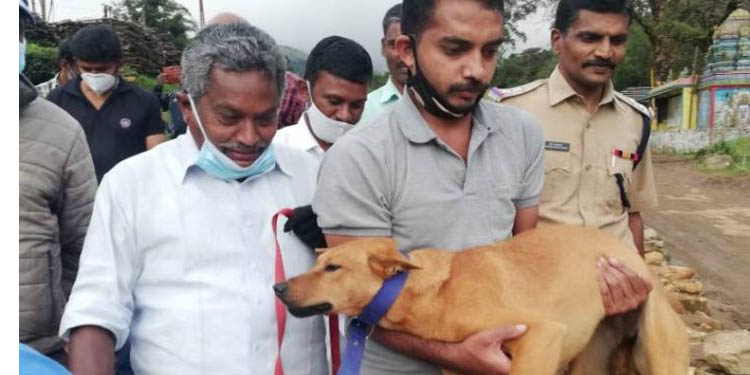 പെട്ടിമുടിയിലെ ദുരന്ത ഭൂമിയില് നിന്നും കളിക്കൂട്ടുകാരി ധനുഷ്കയുടെ ചേതനയറ്റ മൃതദേഹം കണ്ടെത്തിയ കുവിയെന്ന വളര്ത്തുനായ ഇനി ഇടുക്കി ഡോഗ് സ്ക്വാഡില് പെട്ടിമുടിയിലെ ദുരന്ത ഭൂമിയില് നിന്നും കളിക്കൂട്ടുകാരി ധനുഷ്കയുടെ ചേതനയറ്റ മൃതദേഹം കണ്ടെത്തിയ കുവിയെന്ന വളര്ത്തുനായ ഇനി ഇടുക്കി ഡോഗ് സ്ക്വാഡില്