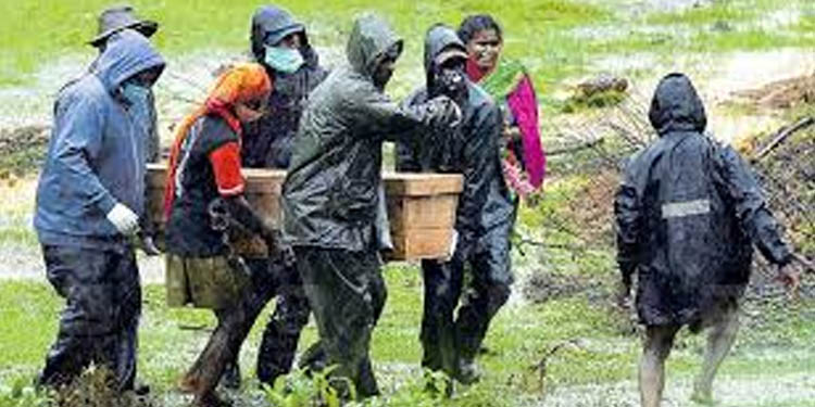 പെട്ടിമുടിയില് മണ്ണിടിഞ്ഞ് കാണാതായവരിലെ 41 പേരുടെ മൃതദേഹങ്ങള് കണ്ടെത്തി പെട്ടിമുടിയില് മണ്ണിടിഞ്ഞ് കാണാതായവരിലെ 41 പേരുടെ മൃതദേഹങ്ങള് കണ്ടെത്തി