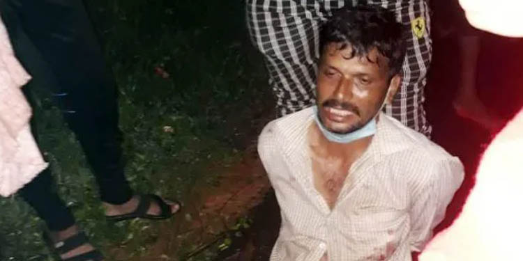 കാസര്കോട് കനിയാലയില് നാല് പേരെ വെട്ടിക്കൊന്നു കാസര്കോട് കനിയാലയില് നാല് പേരെ വെട്ടിക്കൊന്നു