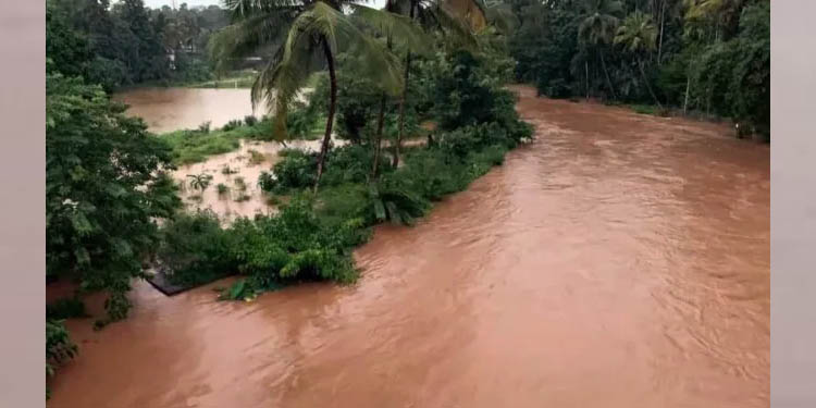 ഡാമുകളുടെ ഷട്ടറുകള് തുറക്കും ; എറണാകുളം ജില്ലയുടെ താഴ്ന്ന പ്രദേശങ്ങളില് വെള്ളം കയറാന് സാധ്യത ഡാമുകളുടെ ഷട്ടറുകള് തുറക്കും ; എറണാകുളം ജില്ലയുടെ താഴ്ന്ന പ്രദേശങ്ങളില് വെള്ളം കയറാന് സാധ്യത