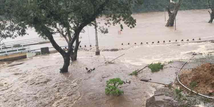 പമ്പ അണക്കെട്ടിന്റെ ഷട്ടറുകള് 2 അടി ഉയര്ത്തി : ജാഗ്രത പാലിക്കണം പമ്പ അണക്കെട്ടിന്റെ ഷട്ടറുകള് 2 അടി ഉയര്ത്തി : ജാഗ്രത പാലിക്കണം