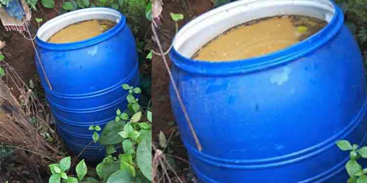 പെരുനാട്ടില് നിന്നും 250 ലിറ്റര് കോട പിടിച്ചെടുത്തു നശിപ്പിച്ചു പെരുനാട്ടില് നിന്നും 250 ലിറ്റര് കോട പിടിച്ചെടുത്തു നശിപ്പിച്ചു