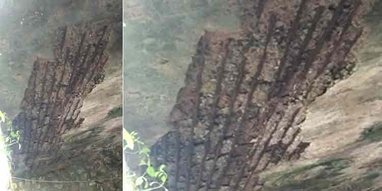 അപകടാവസ്ഥയില് തണ്ണിത്തോട് – പൂച്ചക്കുളം പാലം അപകടാവസ്ഥയില് തണ്ണിത്തോട് – പൂച്ചക്കുളം പാലം