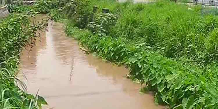 പള്ളിക്കലാറിന്റെ കൈയേറ്റം : ഒഴിപ്പിക്കല് നടപടി ഇഴയുന്നതായി ആരോപണം പള്ളിക്കലാറിന്റെ കൈയേറ്റം : ഒഴിപ്പിക്കല് നടപടി ഇഴയുന്നതായി ആരോപണം