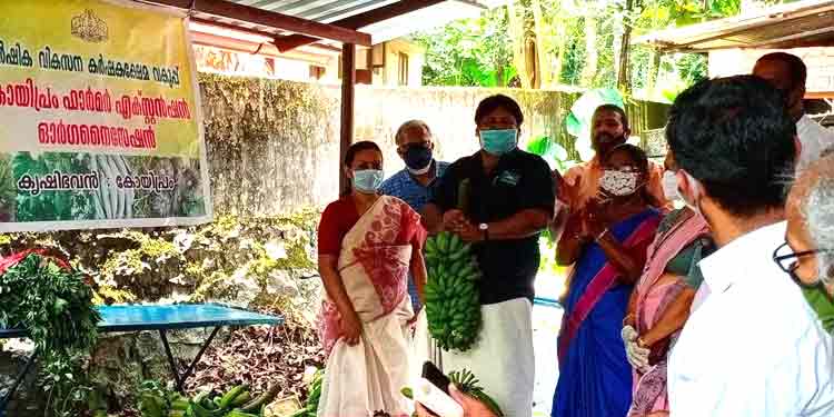 കോയിപ്രത്ത് ലേല വിപണിയും ഓണ്ലൈന് മാര്ക്കറ്റിംഗ് നെറ്റ്വര്ക്കും തുടങ്ങി കോയിപ്രത്ത് ലേല വിപണിയും ഓണ്ലൈന് മാര്ക്കറ്റിംഗ് നെറ്റ്വര്ക്കും തുടങ്ങി