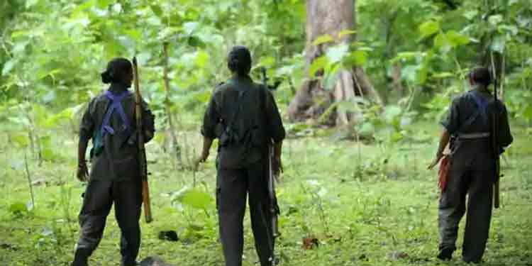 വയനാട്ടിൽ വീണ്ടും മാവോയിസ്റ്റ് സാന്നിധ്യം ; വെള്ളമുണ്ടയിൽ സായുധരായ മാവോയിസ്റ്റ് സംഘമെത്തിയെന്ന് സൂചന വയനാട്ടിൽ വീണ്ടും മാവോയിസ്റ്റ് സാന്നിധ്യം ; വെള്ളമുണ്ടയിൽ സായുധരായ മാവോയിസ്റ്റ് സംഘമെത്തിയെന്ന് സൂചന