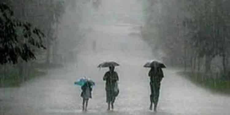 പത്തനംതിട്ട ജില്ലയിൽ ഇന്നും നാളെയും ഓറഞ്ച് അലർട്ട് പത്തനംതിട്ട ജില്ലയിൽ ഇന്നും നാളെയും ഓറഞ്ച് അലർട്ട്
