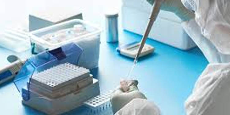 കോവിഡ് ഫലം ഒന്നരമണിക്കൂറിനുള്ളില് : ആര്ടിപിസിആര് ടെസ്റ്റ് കിറ്റ് വികസിപ്പിച്ച് ഒരു സ്റ്റാര്ട്ടപ്പ് കമ്പനി കോവിഡ് ഫലം ഒന്നരമണിക്കൂറിനുള്ളില് : ആര്ടിപിസിആര് ടെസ്റ്റ് കിറ്റ് വികസിപ്പിച്ച് ഒരു സ്റ്റാര്ട്ടപ്പ് കമ്പനി