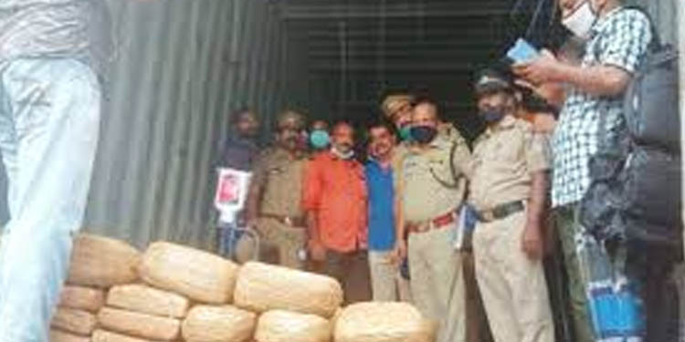 ആറ്റിങ്ങല് കോരാണിയില് 500 കിലോ കഞ്ചാവ് പിടിച്ചെടുത്ത കേസില് രണ്ട് കണ്ണൂര് സ്വദേശികള് കസ്റ്റഡിയില് ആറ്റിങ്ങല് കോരാണിയില് 500 കിലോ കഞ്ചാവ് പിടിച്ചെടുത്ത കേസില് രണ്ട് കണ്ണൂര് സ്വദേശികള് കസ്റ്റഡിയില്