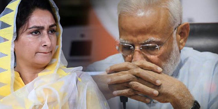 കാര്ഷിക ബില്ല് വിവാദം : ബിജെപിയുടെ നീക്കത്തില് പ്രതിഷേധിച്ച് കേന്ദ്രമന്ത്രി ഹര്സിമ്രത് കൗര് ബാദല് രാജിവെച്ചു കാര്ഷിക ബില്ല് വിവാദം : ബിജെപിയുടെ നീക്കത്തില് പ്രതിഷേധിച്ച് കേന്ദ്രമന്ത്രി ഹര്സിമ്രത് കൗര് ബാദല് രാജിവെച്ചു