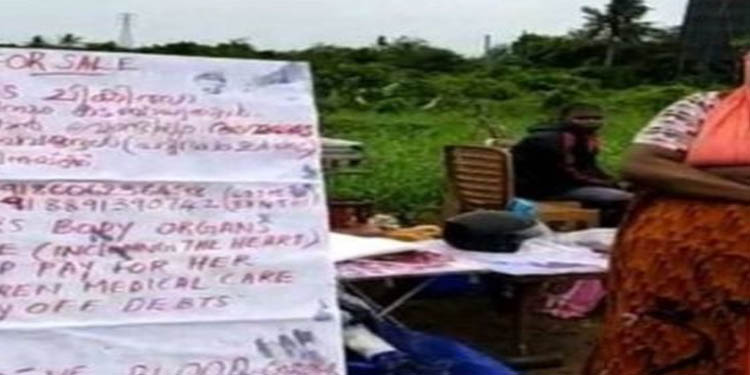 മക്കളുടെ ചികിത്സയ്ക്ക് പണം കണ്ടെത്താന് തന്റെ അവയവങ്ങള് വില്ക്കാന് തയ്യാറാണെന്ന് ബോര്ഡെഴുതി വെച്ച് തെരുവില് ഒരു വീട്ടമ്മ മക്കളുടെ ചികിത്സയ്ക്ക് പണം കണ്ടെത്താന് തന്റെ അവയവങ്ങള് വില്ക്കാന് തയ്യാറാണെന്ന് ബോര്ഡെഴുതി വെച്ച് തെരുവില് ഒരു വീട്ടമ്മ