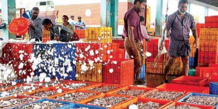 111 പേര്ക്ക് കൊവിഡ് സ്ഥിരീകരിച്ചു : കോഴിക്കോട് സെന്ട്രല് അടച്ചിടാന് തീരുമാനo 111 പേര്ക്ക് കൊവിഡ് സ്ഥിരീകരിച്ചു : കോഴിക്കോട് സെന്ട്രല് അടച്ചിടാന് തീരുമാനo