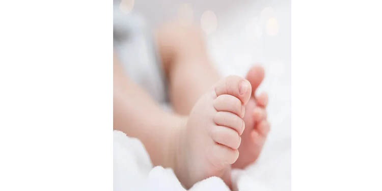 വെന്റിലേറ്ററുകള് ലഭിച്ചില്ല ; നവജാതശിശു മരിച്ചു : പ്രകോപിതരായ ബന്ധുക്കള് നഴ്സിനെ മുറിയില് പൂട്ടിയിട്ടു വെന്റിലേറ്ററുകള് ലഭിച്ചില്ല ; നവജാതശിശു മരിച്ചു : പ്രകോപിതരായ ബന്ധുക്കള് നഴ്സിനെ മുറിയില് പൂട്ടിയിട്ടു