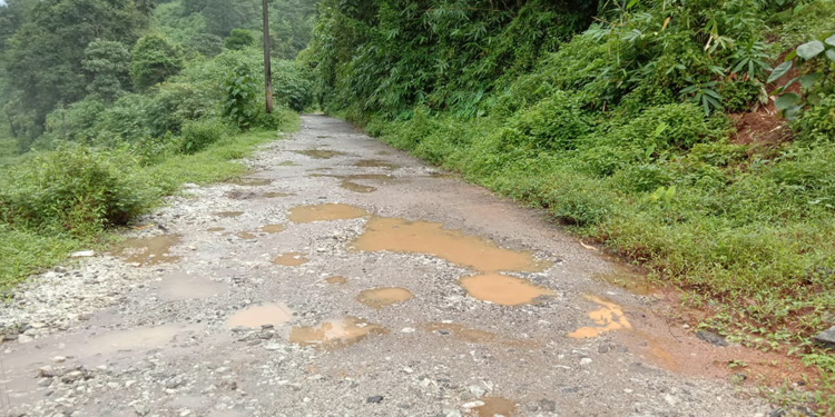 പി കെ വി റോഡ് നവീകരണം ഉടൻ ആരംഭിക്കുമെന്ന് കെ യു ജനീഷ് കുമാർ എം എൽ എ പി കെ വി റോഡ് നവീകരണം ഉടൻ ആരംഭിക്കുമെന്ന് കെ യു ജനീഷ് കുമാർ എം എൽ എ