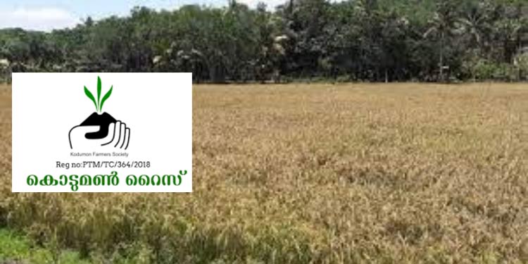 കൊടുമണ് റൈസ്മില് ശിലാസ്ഥാപനം ഒക്ടോബര് രണ്ടിന് കൊടുമണ് റൈസ്മില് ശിലാസ്ഥാപനം ഒക്ടോബര് രണ്ടിന്