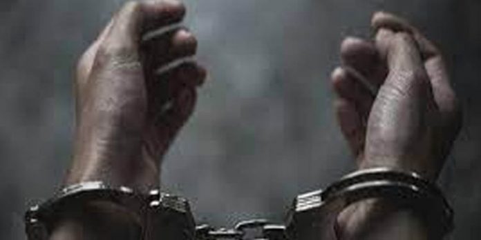 ഏലയ്ക്കാ മോഷ്ടിച്ച് കടത്തുന്ന സ്ത്രീ ഉള്പ്പെടെ രണ്ട് പേര് പിടിയിലായി ഏലയ്ക്കാ മോഷ്ടിച്ച് കടത്തുന്ന സ്ത്രീ ഉള്പ്പെടെ രണ്ട് പേര് പിടിയിലായി