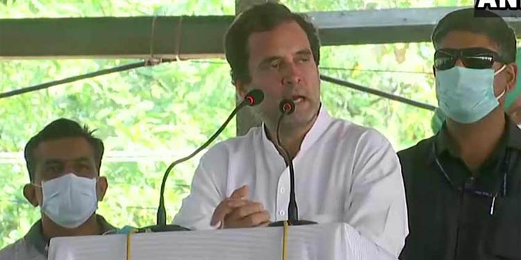 മോദിയുടേത് അംബാനിയുടേയും അദാനിയുടേയും പാവ സര്ക്കാര് : രാഹുൽ ഗാന്ധി മോദിയുടേത് അംബാനിയുടേയും അദാനിയുടേയും പാവ സര്ക്കാര് : രാഹുൽ ഗാന്ധി
