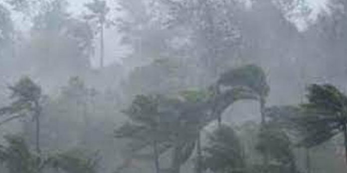ചൊവ്വാഴ്ച മുതല് സംസ്ഥാനത്ത് കനത്ത മഴയ്ക്ക് സാധ്യതയെന്ന് കേന്ദ്ര കാലാവസ്ഥ വകുപ്പ് ചൊവ്വാഴ്ച മുതല് സംസ്ഥാനത്ത് കനത്ത മഴയ്ക്ക് സാധ്യതയെന്ന് കേന്ദ്ര കാലാവസ്ഥ വകുപ്പ്