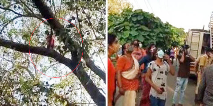 പോലീസ് സ്റ്റേഷന് മുന്നിലെ ആല്മരത്തില് കയറി ട്രാന്സ്ജെന്റര് യുവതിയുടെ ആത്മഹത്യാശ്രമം പോലീസ് സ്റ്റേഷന് മുന്നിലെ ആല്മരത്തില് കയറി ട്രാന്സ്ജെന്റര് യുവതിയുടെ ആത്മഹത്യാശ്രമം