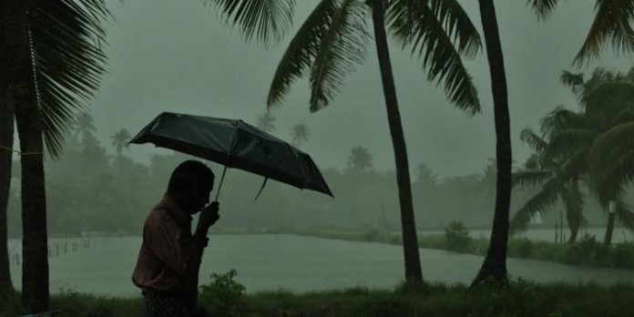 ശക്തമായ മഴയ്ക്ക് സാധ്യത : നാല് ജില്ലകളിൽ ഇന്ന് യെല്ലോ അലേർട്ട് ശക്തമായ മഴയ്ക്ക് സാധ്യത : നാല് ജില്ലകളിൽ ഇന്ന് യെല്ലോ അലേർട്ട്