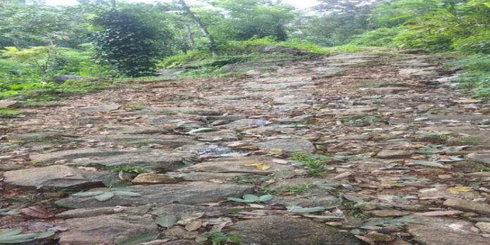 താഴെ പൂച്ചക്കുളം റോഡ് സഞ്ചാരയോഗ്യമാക്കണമെന്ന ആവശ്യം ശക്തമാകുന്നു താഴെ പൂച്ചക്കുളം റോഡ് സഞ്ചാരയോഗ്യമാക്കണമെന്ന ആവശ്യം ശക്തമാകുന്നു