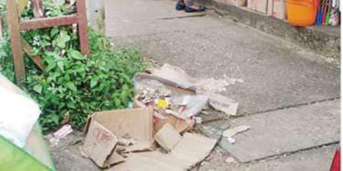 മാലിന്യം നിറഞ്ഞ് മല്ലപ്പള്ളി ടൗൺ ; നടപടി വേണമെന്ന ആവശ്യം ഉയരുന്നു മാലിന്യം നിറഞ്ഞ് മല്ലപ്പള്ളി ടൗൺ ; നടപടി വേണമെന്ന ആവശ്യം ഉയരുന്നു