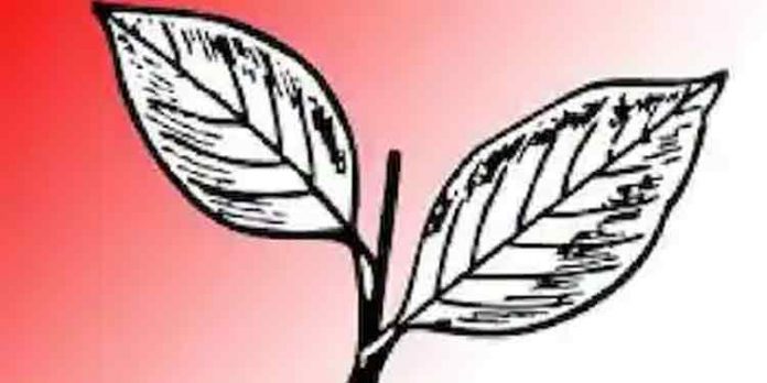 രണ്ടില ചിഹ്നം ; കേന്ദ്ര തെരഞ്ഞെടുപ്പ് കമ്മീഷന് ഉത്തരവ് റദ്ദാക്കണമെന്ന ഹര്ജി ഹൈക്കോടതി ഇന്ന് പരിഗണിക്കും രണ്ടില ചിഹ്നം ; കേന്ദ്ര തെരഞ്ഞെടുപ്പ് കമ്മീഷന് ഉത്തരവ് റദ്ദാക്കണമെന്ന ഹര്ജി ഹൈക്കോടതി ഇന്ന് പരിഗണിക്കും