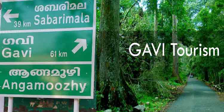 ഗവി ഇന്നുമുതല് വിനോദ സഞ്ചാരികള്ക്കായി തുറന്ന് കൊടുക്കുന്നു ഗവി ഇന്നുമുതല് വിനോദ സഞ്ചാരികള്ക്കായി തുറന്ന് കൊടുക്കുന്നു