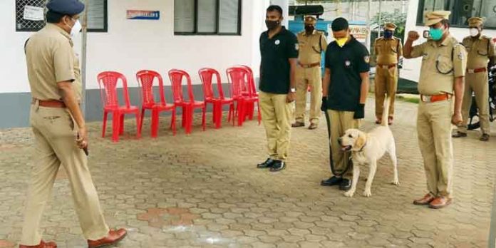 ജാക്ക് ജില്ലാ പോലീസ് ഡോഗ് സ്ക്വാഡിലെ പുതിയ അംഗം ജാക്ക് ജില്ലാ പോലീസ് ഡോഗ് സ്ക്വാഡിലെ പുതിയ അംഗം