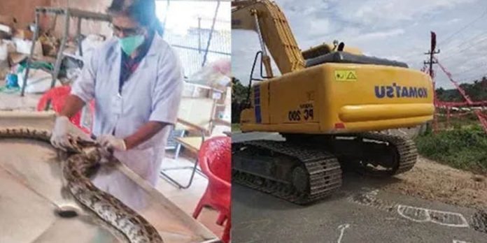 സര്വീസ് റോഡ് നിര്മാണത്തിനിടയില് മലമ്പാമ്പ് ചത്തു ; ഡ്രൈവറും മണ്ണു മാന്തിയന്തവും കസ്റ്റഡിയില് സര്വീസ് റോഡ് നിര്മാണത്തിനിടയില് മലമ്പാമ്പ് ചത്തു ; ഡ്രൈവറും മണ്ണു മാന്തിയന്തവും കസ്റ്റഡിയില്