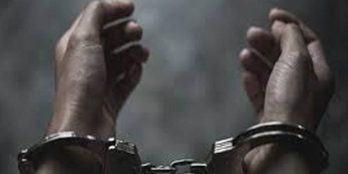 ശ്മശാനം കേന്ദ്രീകരിച്ച് രാത്രികാലങ്ങളില് വന്തോതില് കഞ്ചാവ് വില്പ്പന ; യുവാവ് അറസ്റ്റില് ശ്മശാനം കേന്ദ്രീകരിച്ച് രാത്രികാലങ്ങളില് വന്തോതില് കഞ്ചാവ് വില്പ്പന ; യുവാവ് അറസ്റ്റില്