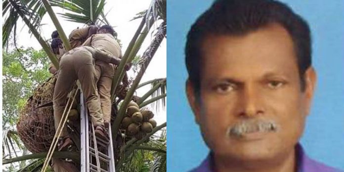 മരുന്നടിക്കാന് തെങ്ങില് കയറിയ 57കാരന് ഹൃദയാഘാതം മൂലം മരിച്ചു മരുന്നടിക്കാന് തെങ്ങില് കയറിയ 57കാരന് ഹൃദയാഘാതം മൂലം മരിച്ചു
