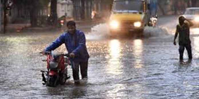 പാലക്കാട്, ഇടുക്കി ജില്ലകളില് ഇന്ന് കനത്ത മഴയ്ക്ക് സാധ്യത ; യെല്ലോ അലര്ട്ട് പാലക്കാട്, ഇടുക്കി ജില്ലകളില് ഇന്ന് കനത്ത മഴയ്ക്ക് സാധ്യത ; യെല്ലോ അലര്ട്ട്