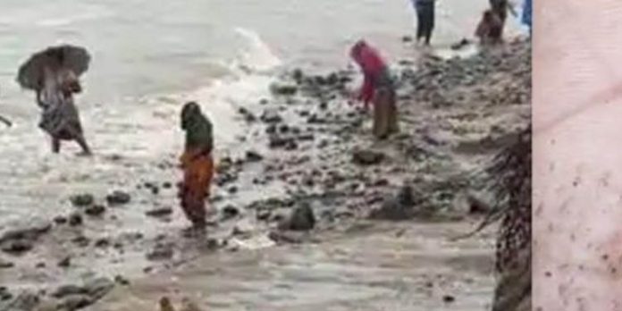 ന്യൂനമര്ദo : നാളെ മുതല് കേരളാ തീരത്ത് മത്സ്യബന്ധനത്തിന് വിലക്ക് ന്യൂനമര്ദo : നാളെ മുതല് കേരളാ തീരത്ത് മത്സ്യബന്ധനത്തിന് വിലക്ക്
