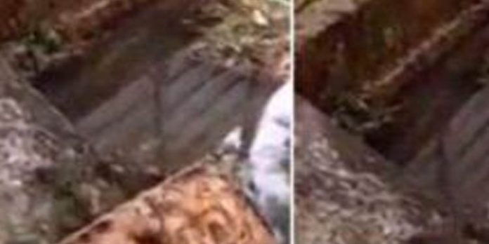നടപ്പാലം തകര്ന്നു വീണ് അഞ്ചു സ്ത്രീകള്ക്ക് പരിക്കേറ്റു നടപ്പാലം തകര്ന്നു വീണ് അഞ്ചു സ്ത്രീകള്ക്ക് പരിക്കേറ്റു