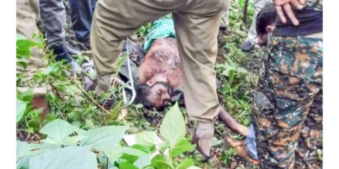നാല്പതിലേറെ മുറിവുകളുo , നാല് വെടിയുണ്ടകളുo ; മാവോയിസ്റ്റ് വേല്മുരുകന്റെ പോസ്റ്റുമോര്ട്ടം റിപ്പോര്ട്ട് പുറത്ത് നാല്പതിലേറെ മുറിവുകളുo , നാല് വെടിയുണ്ടകളുo ; മാവോയിസ്റ്റ് വേല്മുരുകന്റെ പോസ്റ്റുമോര്ട്ടം റിപ്പോര്ട്ട് പുറത്ത്