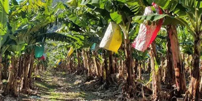 അന്യസംസ്ഥാനത്ത് മന്ത്രിമാര്ക്ക് ഭൂമി : ബിനാമിയെ തിരിച്ചറിഞ്ഞു ; ഉടന് കസ്റ്റഡിയിലെടുക്കും അന്യസംസ്ഥാനത്ത് മന്ത്രിമാര്ക്ക് ഭൂമി : ബിനാമിയെ തിരിച്ചറിഞ്ഞു ; ഉടന് കസ്റ്റഡിയിലെടുക്കും