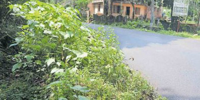 ചെത്തോങ്കര–അത്തിക്കയം ശബരിമല പാതയിലെ വികസനം കടലാസിൽ ഒതുങ്ങുന്നു ചെത്തോങ്കര–അത്തിക്കയം ശബരിമല പാതയിലെ വികസനം കടലാസിൽ ഒതുങ്ങുന്നു