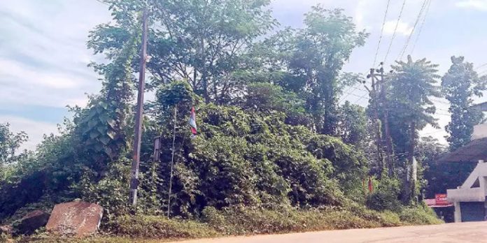 റാന്നി മന്ദിരം ജംഗ്ഷനിലെ കാട് യാത്രക്കാർക്ക് ഭീഷണിയാകുന്നു റാന്നി മന്ദിരം ജംഗ്ഷനിലെ കാട് യാത്രക്കാർക്ക് ഭീഷണിയാകുന്നു