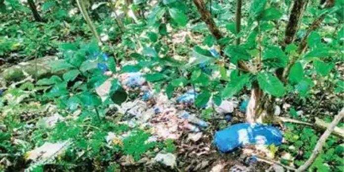കടമ്മനിട്ട കുടിലുകുഴിയിൽ സാമൂഹിക വിരുദ്ധർ മാലിന്യം തള്ളുന്നു കടമ്മനിട്ട കുടിലുകുഴിയിൽ സാമൂഹിക വിരുദ്ധർ മാലിന്യം തള്ളുന്നു