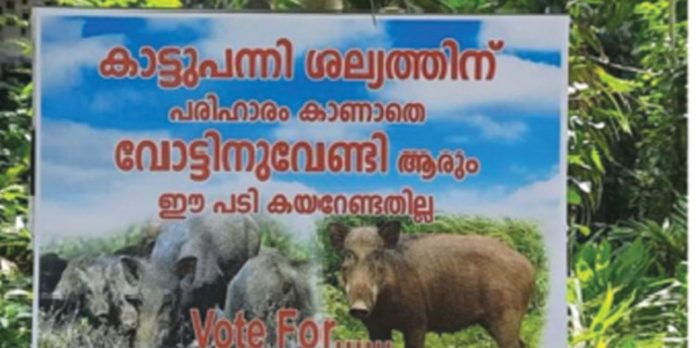 തെരഞ്ഞെടുപ്പില് കാട്ടുപന്നിയും ചര്ച്ചാവിഷയമാകുന്നു ; വോട്ടു ചോദിക്കുന്നത് പന്നിയോടുമതി……കര്ഷകര് വോട്ടു നല്കില്ല തെരഞ്ഞെടുപ്പില് കാട്ടുപന്നിയും ചര്ച്ചാവിഷയമാകുന്നു ; വോട്ടു ചോദിക്കുന്നത് പന്നിയോടുമതി……കര്ഷകര് വോട്ടു നല്കില്ല