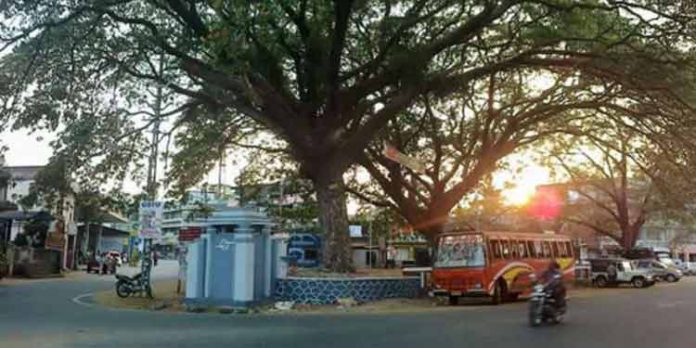 അനധികൃത വഴിയോര കച്ചവടങ്ങളും കൈയേറ്റങ്ങളും ; കര്ശന നടപടിയുമായി അധികൃതര് അനധികൃത വഴിയോര കച്ചവടങ്ങളും കൈയേറ്റങ്ങളും ; കര്ശന നടപടിയുമായി അധികൃതര്