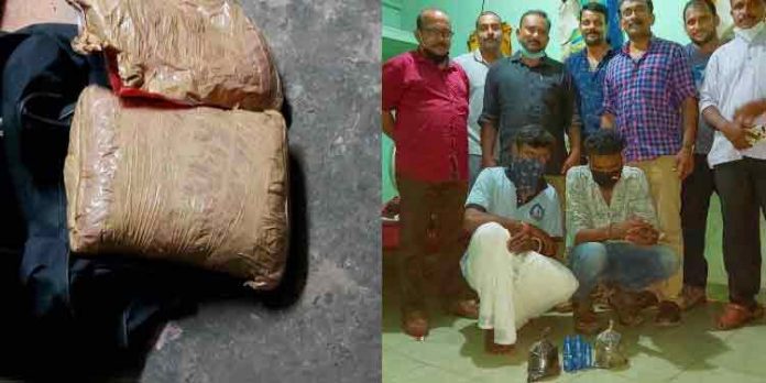 കൊല്ലത്ത് വൻ ലഹരിമരുന്ന് വേട്ട ; രണ്ട് കോടിയോളം വിലവരുന്ന ഹാഷിഷ് ഓയിലും കഞ്ചാവും പിടികൂടി കൊല്ലത്ത് വൻ ലഹരിമരുന്ന് വേട്ട ; രണ്ട് കോടിയോളം വിലവരുന്ന ഹാഷിഷ് ഓയിലും കഞ്ചാവും പിടികൂടി
