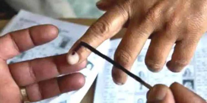 അടൂരില് മുന് വൈസ് ചെയര്മാനും മുൻ കൗണ്സിലര്മാരും തമ്മില് നേർക്കുനേർ പോരാട്ടം അടൂരില് മുന് വൈസ് ചെയര്മാനും മുൻ കൗണ്സിലര്മാരും തമ്മില് നേർക്കുനേർ പോരാട്ടം