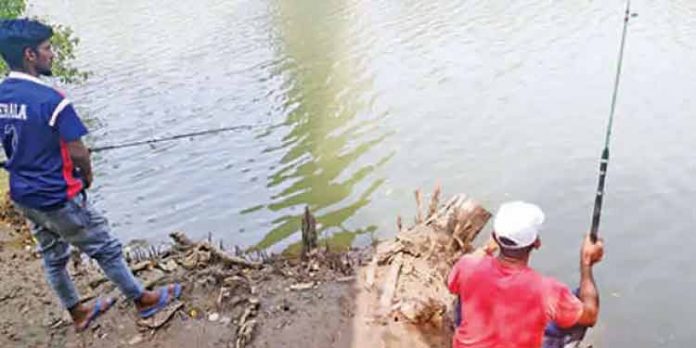 അനധികൃതമായി സ്ഥാപിച്ചിരുന്ന ചൂണ്ടകള് പിടിച്ചെടുത്തു അനധികൃതമായി സ്ഥാപിച്ചിരുന്ന ചൂണ്ടകള് പിടിച്ചെടുത്തു