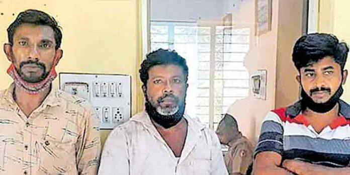 ആടുകളെ വില പറഞ്ഞു വാങ്ങും , വില ചേരാതെ ഒഴിവാകുന്ന വീടുകളിലെത്തി മോഷണം ; 3 പേർ പിടിയിൽ ആടുകളെ വില പറഞ്ഞു വാങ്ങും , വില ചേരാതെ ഒഴിവാകുന്ന വീടുകളിലെത്തി മോഷണം ; 3 പേർ പിടിയിൽ