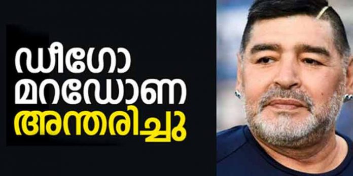 ഫുട്ബോള് ഇതിഹാസം ഡീഗോ മറഡോണ അന്തരിച്ചു ഫുട്ബോള് ഇതിഹാസം ഡീഗോ മറഡോണ അന്തരിച്ചു