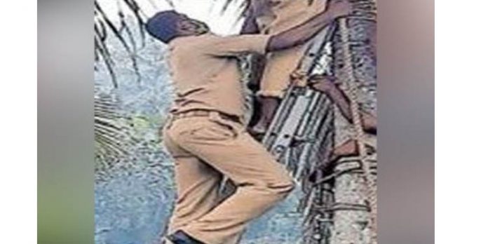 തെങ്ങില് തലകീഴായി കുടുങ്ങിയ തൊഴിലാളിയെ അഗ്നിരക്ഷാ സേന രക്ഷപ്പെടുത്തി തെങ്ങില് തലകീഴായി കുടുങ്ങിയ തൊഴിലാളിയെ അഗ്നിരക്ഷാ സേന രക്ഷപ്പെടുത്തി