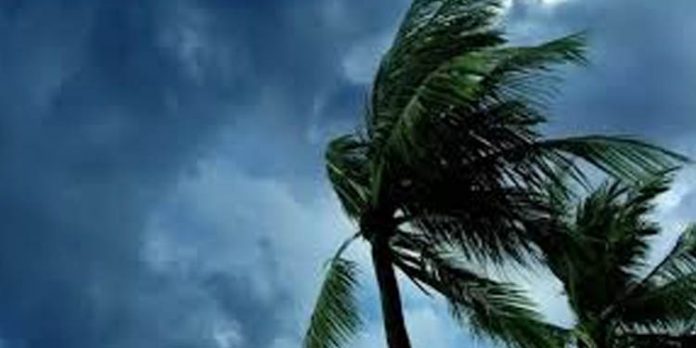 ബുറേവി ചുഴലിക്കാറ്റില് തമിഴ്നാട്ടില് 17 മരണം ബുറേവി ചുഴലിക്കാറ്റില് തമിഴ്നാട്ടില് 17 മരണം