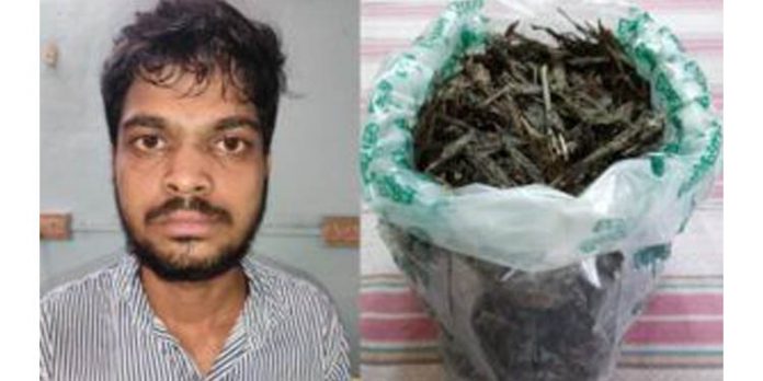 പുതുവത്സരാഘോഷത്തിന് വില്പ്പനക്കായി കൊണ്ടുവന്ന കഞ്ചാവുമായി പശ്ചിമ ബംഗാള് സ്വദേശി പിടിയില് പുതുവത്സരാഘോഷത്തിന് വില്പ്പനക്കായി കൊണ്ടുവന്ന കഞ്ചാവുമായി പശ്ചിമ ബംഗാള് സ്വദേശി പിടിയില്